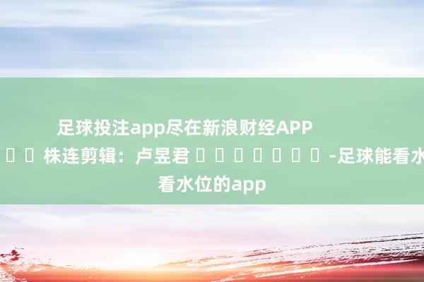 足球投注app尽在新浪财经APP 株连剪辑:卢昱君 -足球能看水位的app
