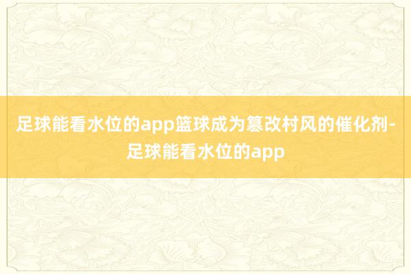足球能看水位的app篮球成为篡改村风的催化剂-足球能看水位的app
