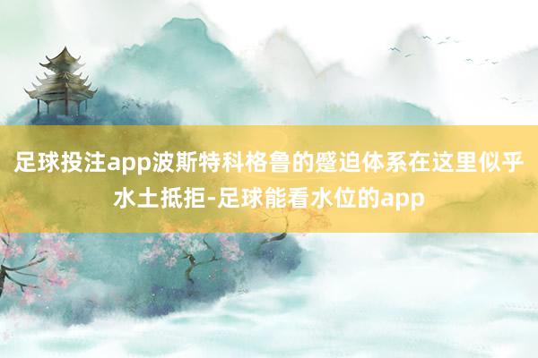 足球投注app波斯特科格鲁的蹙迫体系在这里似乎水土抵拒-足球能看水位的app