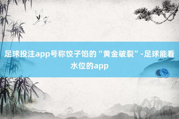 足球投注app号称饺子馅的“黄金破裂”-足球能看水位的app