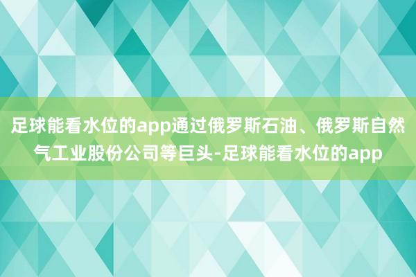 足球能看水位的app通过俄罗斯石油、俄罗斯自然气工业股份公司等巨头-足球能看水位的app
