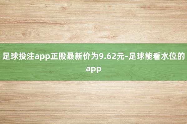 足球投注app正股最新价为9.62元-足球能看水位的app