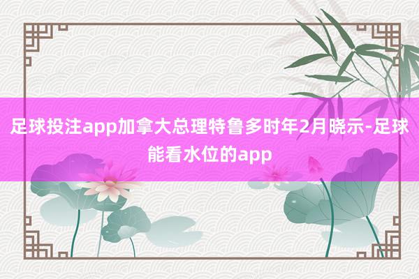 足球投注app加拿大总理特鲁多时年2月晓示-足球能看水位的app