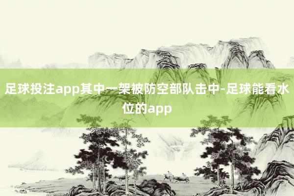足球投注app其中一架被防空部队击中-足球能看水位的app