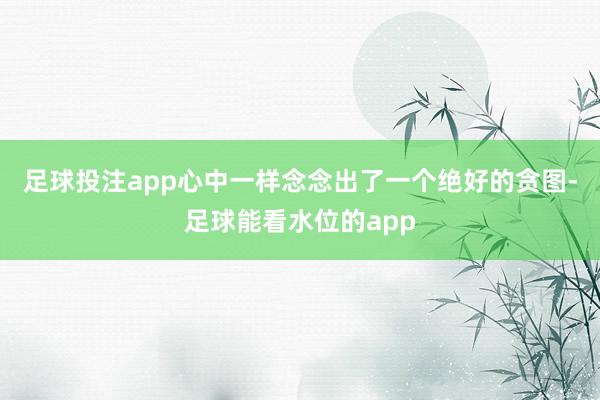足球投注app心中一样念念出了一个绝好的贪图-足球能看水位的app