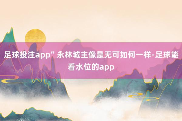 足球投注app”永林城主像是无可如何一样-足球能看水位的app