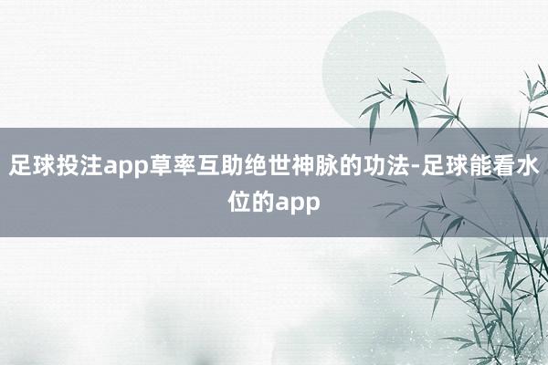 足球投注app草率互助绝世神脉的功法-足球能看水位的app