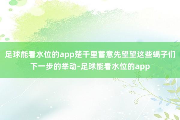 足球能看水位的app楚千里蓄意先望望这些蝎子们下一步的举动-足球能看水位的app
