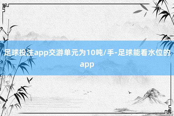 足球投注app交游单元为10吨/手-足球能看水位的app