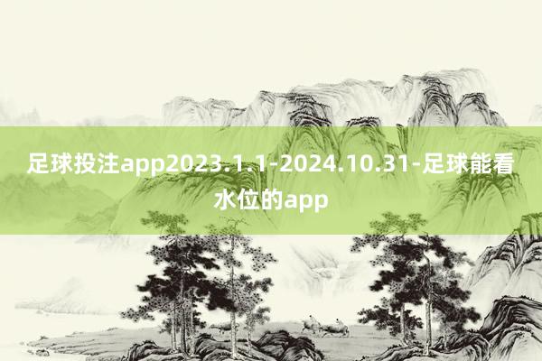 足球投注app2023.1.1-2024.10.31-足球能看水位的app