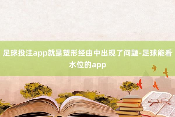足球投注app就是塑形经由中出现了问题-足球能看水位的app