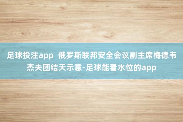 足球投注app  俄罗斯联邦安全会议副主席梅德韦杰夫团结天示意-足球能看水位的app