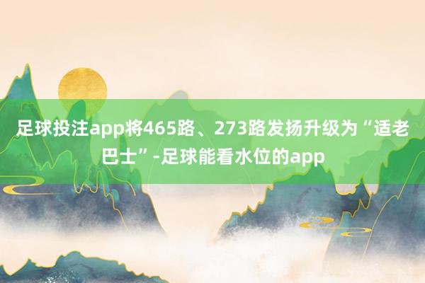 足球投注app将465路、273路发扬升级为“适老巴士”-足球能看水位的app