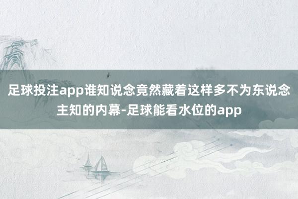 足球投注app谁知说念竟然藏着这样多不为东说念主知的内幕-足球能看水位的app