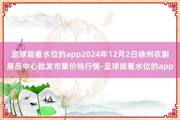 足球能看水位的app2024年12月2日徐州农副居品中心批发市集价钱行情-足球能看水位的app
