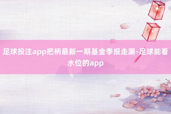 足球投注app把柄最新一期基金季报走漏-足球能看水位的app