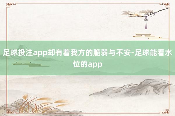 足球投注app却有着我方的脆弱与不安-足球能看水位的app