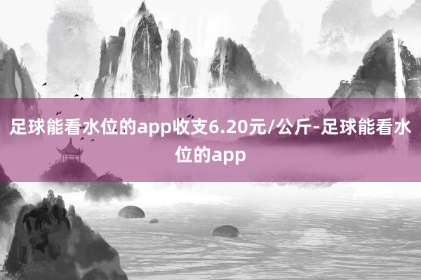 足球能看水位的app收支6.20元/公斤-足球能看水位的app