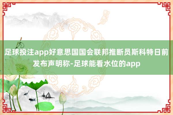 足球投注app好意思国国会联邦推断员斯科特日前发布声明称-足球能看水位的app