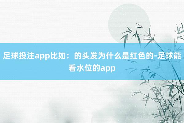 足球投注app比如：的头发为什么是红色的-足球能看水位的app