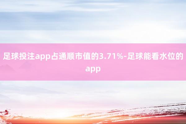 足球投注app占通顺市值的3.71%-足球能看水位的app
