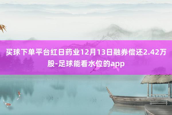 买球下单平台红日药业12月13日融券偿还2.42万股-足球能看水位的app