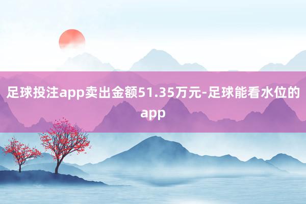足球投注app卖出金额51.35万元-足球能看水位的app