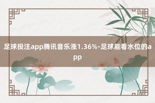 足球投注app腾讯音乐涨1.36%-足球能看水位的app