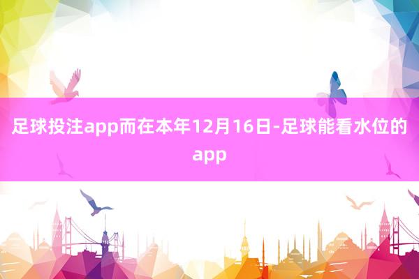 足球投注app而在本年12月16日-足球能看水位的app