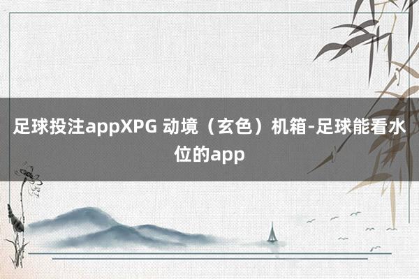 足球投注appXPG 动境（玄色）机箱-足球能看水位的app