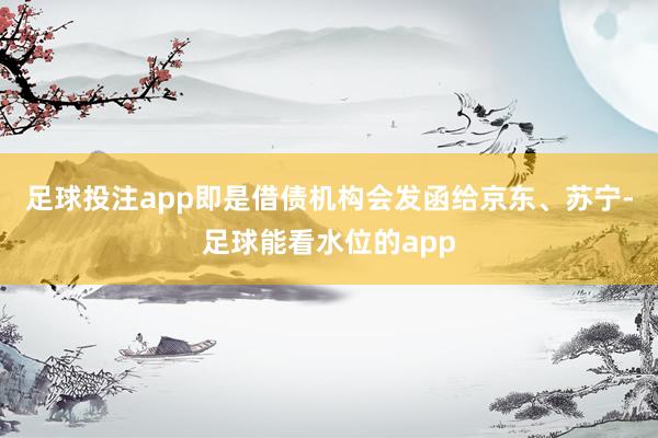 足球投注app即是借债机构会发函给京东、苏宁-足球能看水位的app