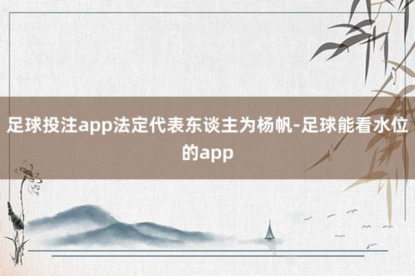 足球投注app法定代表东谈主为杨帆-足球能看水位的app