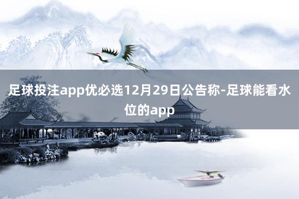 足球投注app优必选12月29日公告称-足球能看水位的app