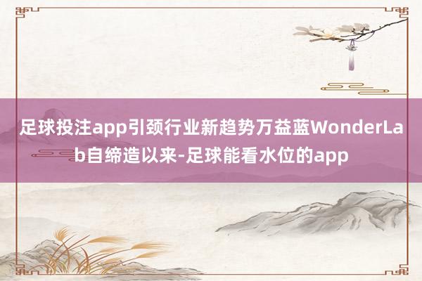 足球投注app引颈行业新趋势万益蓝WonderLab自缔造以来-足球能看水位的app